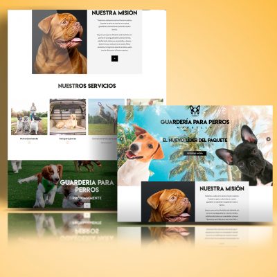 60- portfolio daycare for dogs